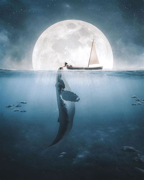 pixelsquid360|PixelSquid by Shutterstock .